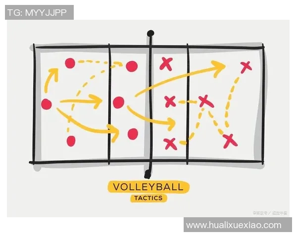 上海排球队的战术控制与队伍发展深度剖析